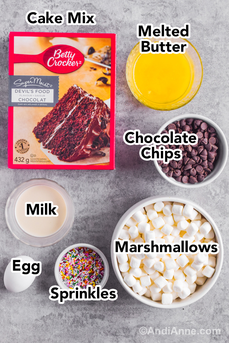 Recipe ingredients on the counter including a boxed chocolate cake mix, bowl of melted butter, bowl of chocolate chips, milk, mini marshmallows, sprinkles and eggs.