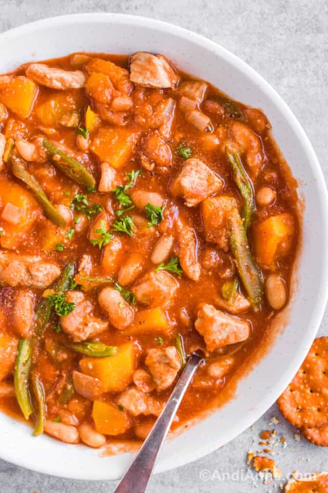 Pork and Squash Stew Andi Anne