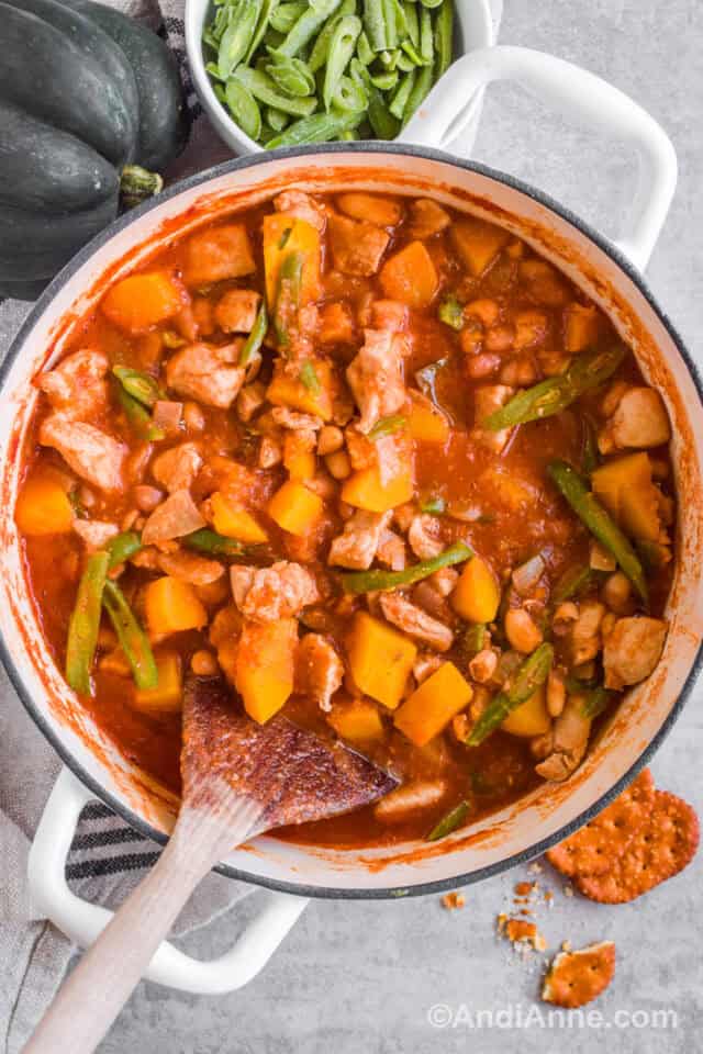 Pork Squash Stew Andi Anne