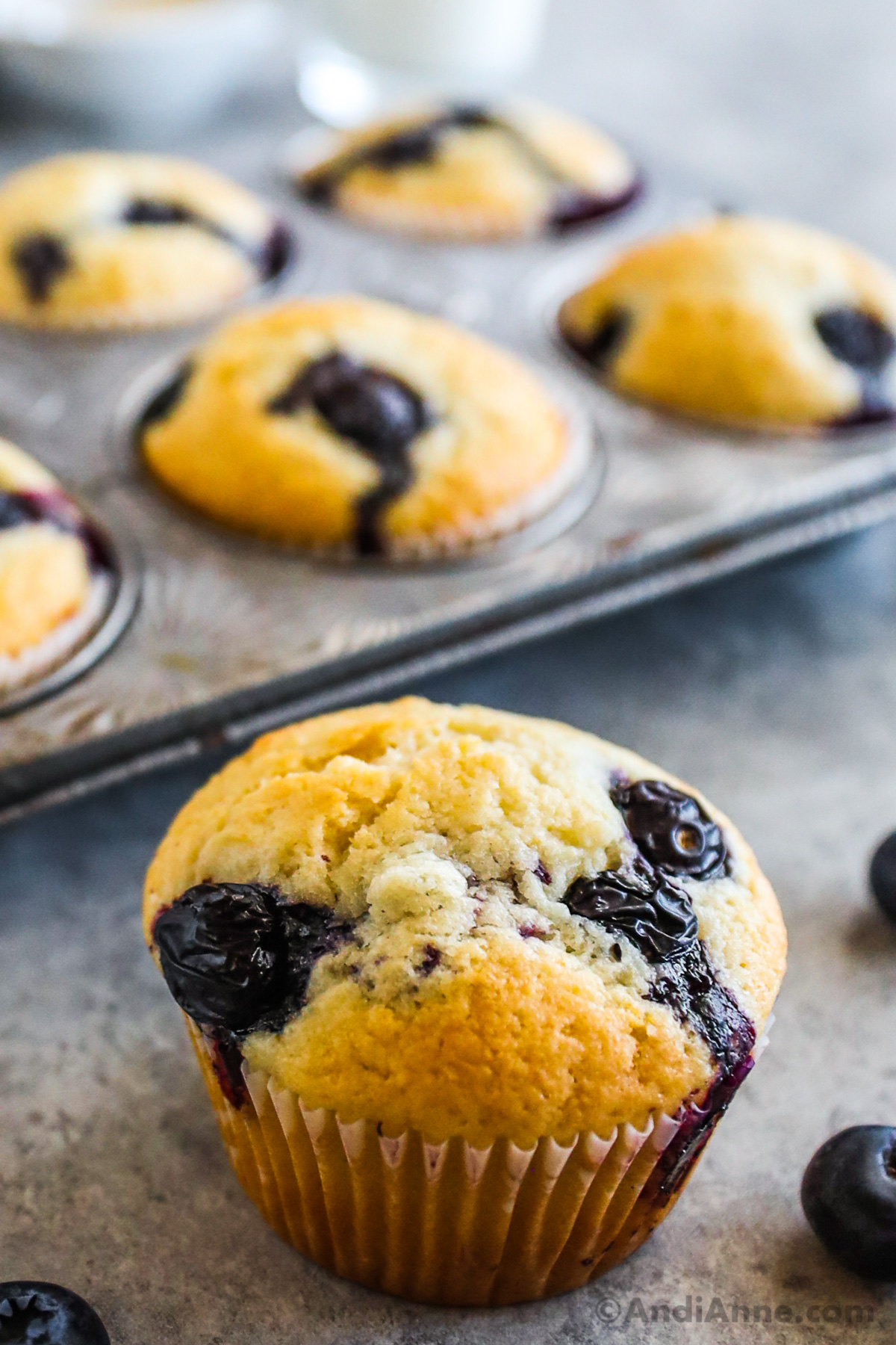 Close up of a blueberry muffin in front of a muffin pan.