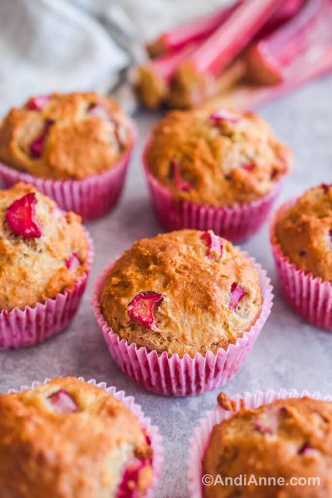 Whole Wheat Rhubarb Muffins - Andi Anne