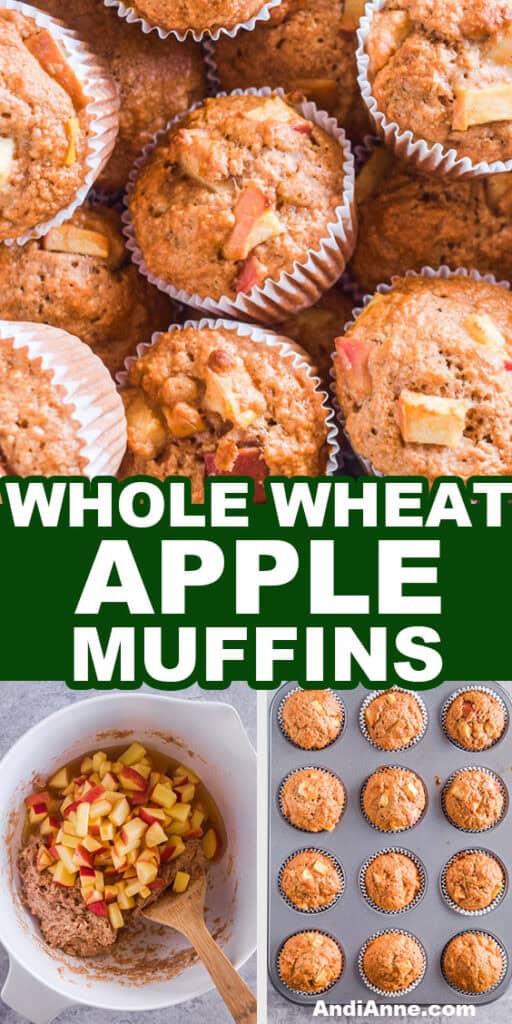 A pile of whole wheat apple muffins, a bowl of the batter with chopped apples, and cooked muffins in a pan