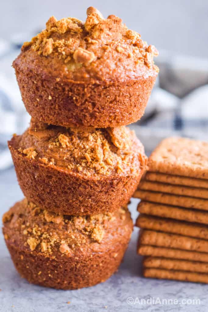 Graham Cracker Muffins Andi Anne graham-cracker-muffins-andi-anne