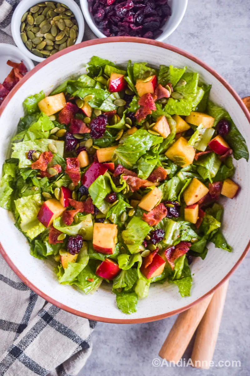 A bowl of balsamic bacon apple salad with small bowls of pumpkin seeds and dried cranberries in the corner.