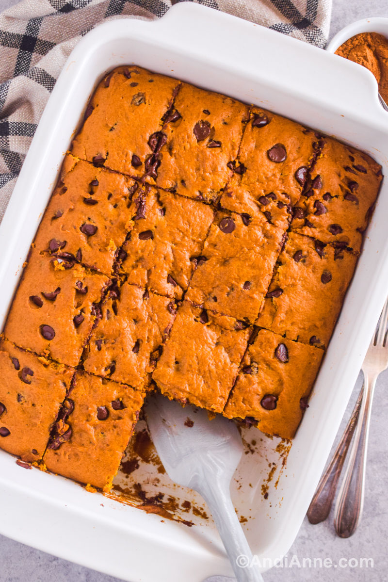 Close up of squares of pumpkin chocolate chip bars sliced into squares in the baking dish with two squares removed and a spatula in place.