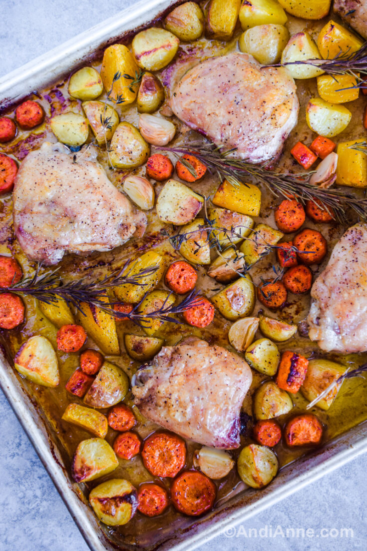 Chicken Thighs with Root Vegetables - Andi Anne