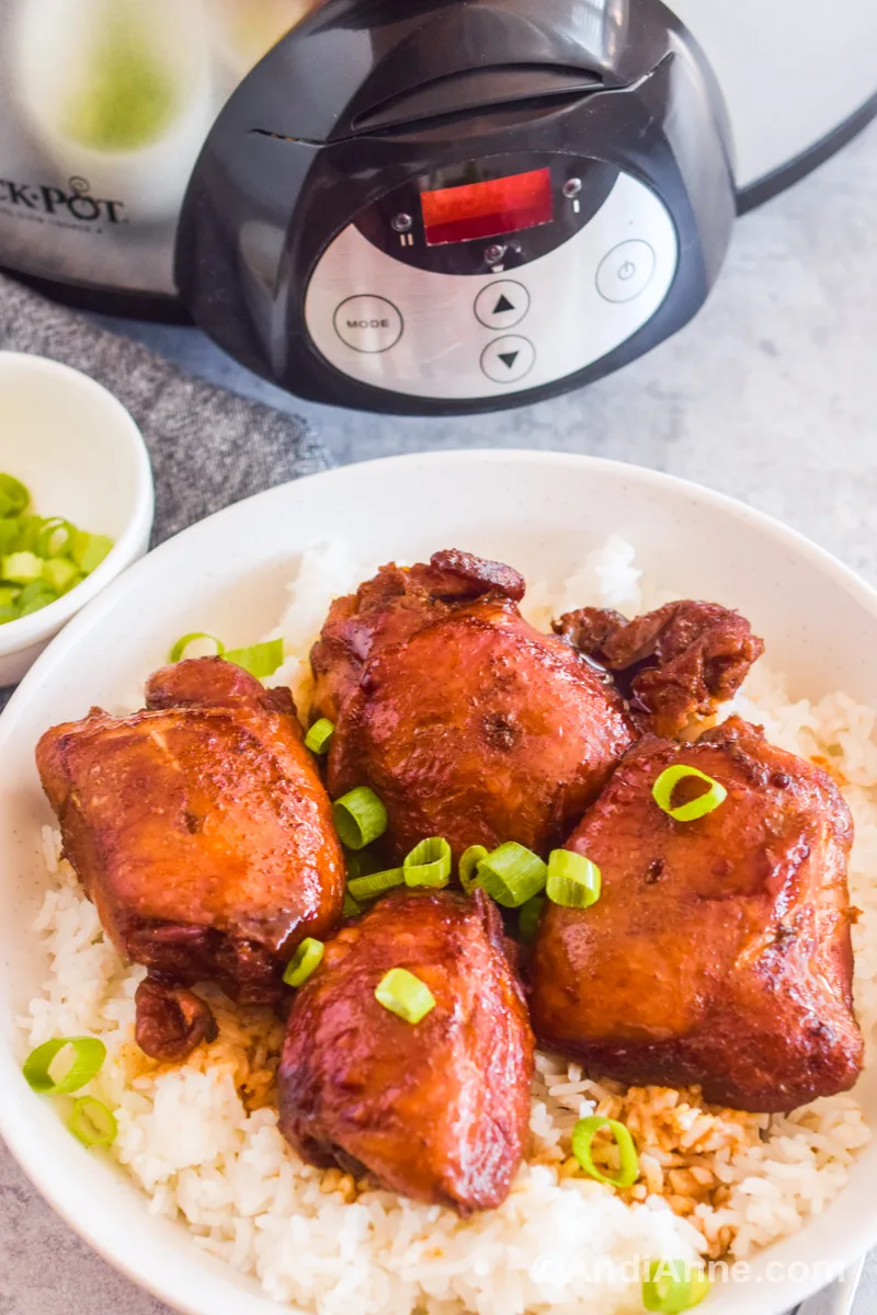 Cooked soy sauce chicken thighs on top of white rice with chopped green onions. A Crockpot in the background.