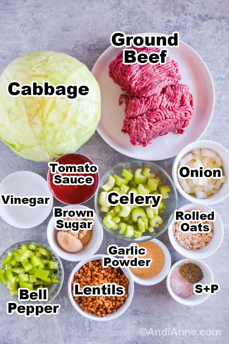Recipe ingredients on the counter in bowls including ground beef. chopped onion, celery, tomato sauce, bell pepper, brown sugar, lentils, garlic powder and rolled oats.