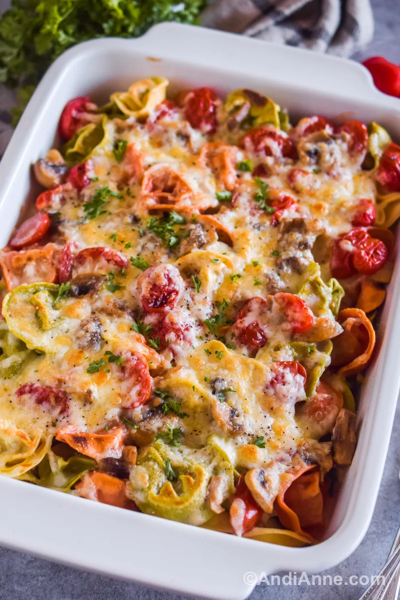 The tortellini casserole with melted cheese on top in a white rectangular dish.