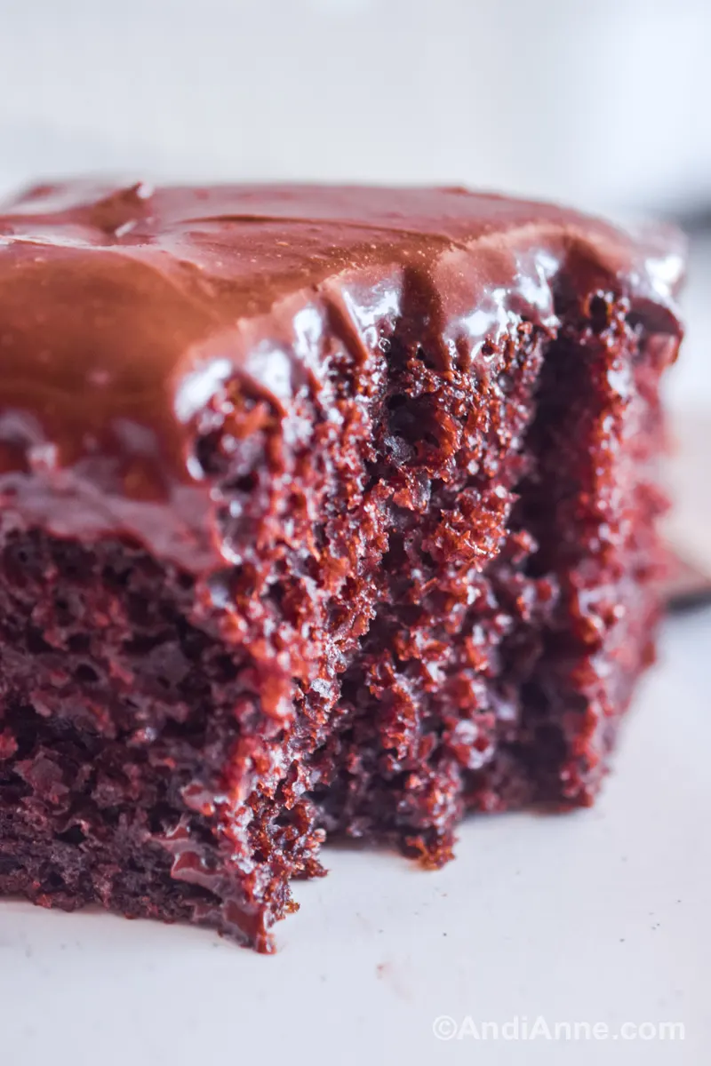 Close up of a slice of chocolate cake covered in frosting.
