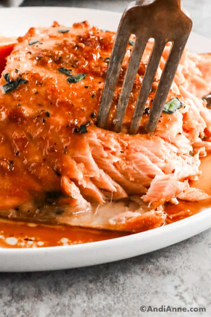 Brown Sugar Soy Sauce Salmon