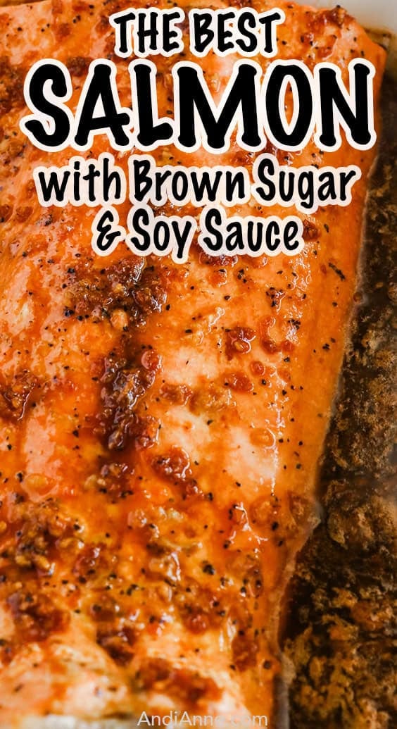Brown Sugar Soy Sauce Salmon