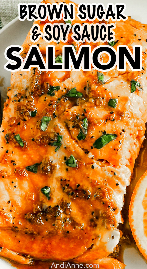 Brown Sugar Soy Sauce Salmon