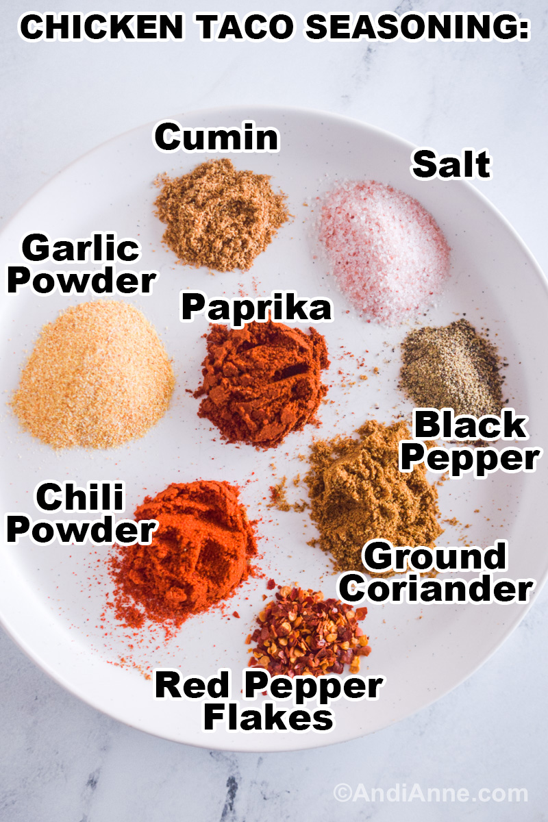 Spices on a white plate including, cumin, salt, garlic powder, paprika, black pepper, ground coriander, red pepper flakes, and chili powder.