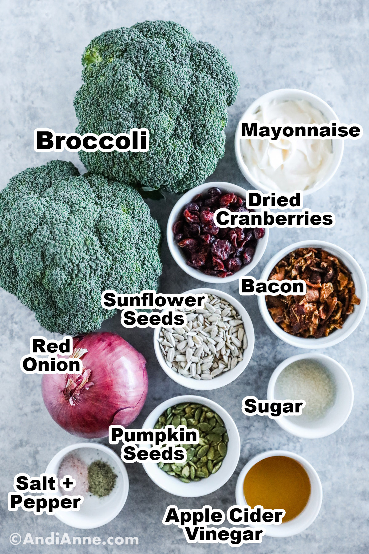 Ingredients to make the recipe including broccoli, bowls of mayonnaise, dried cranberries, bacon, sunflower seeds, sugar, pumpkin seeds, apple cider vinegar and onion.