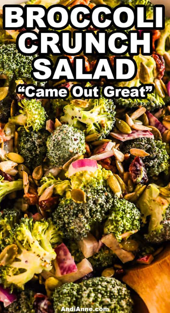 Close up of broccoli crunch salad