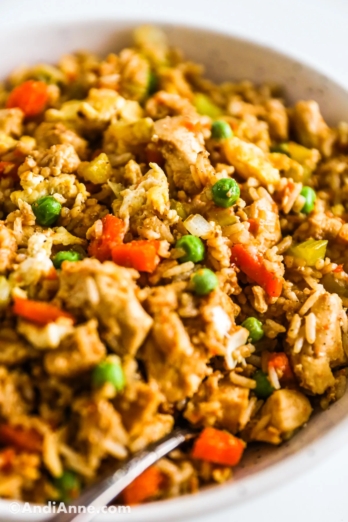 Close up of chicken fried rice recipe.