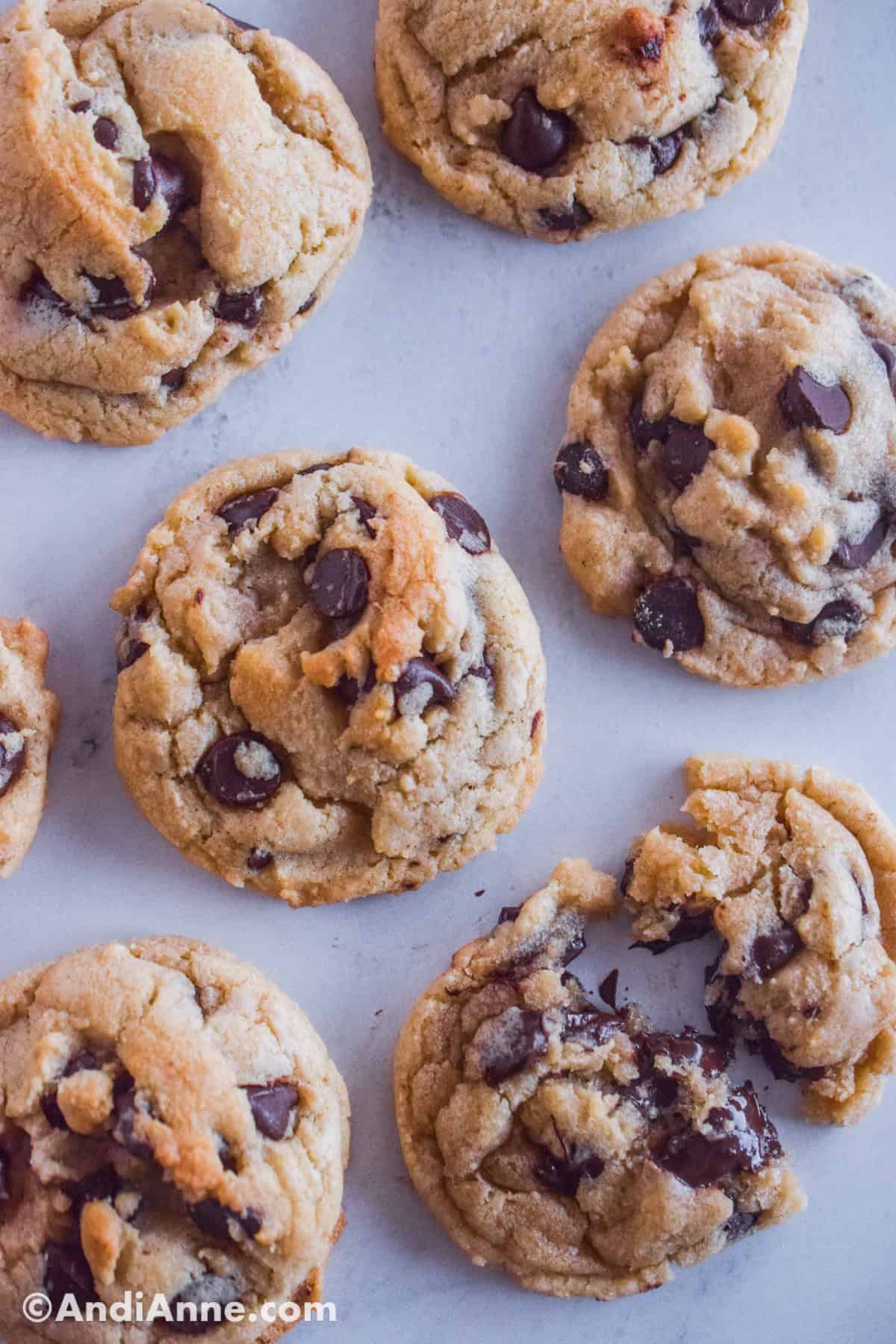 Close up of chocolate chip cookies on a counter.