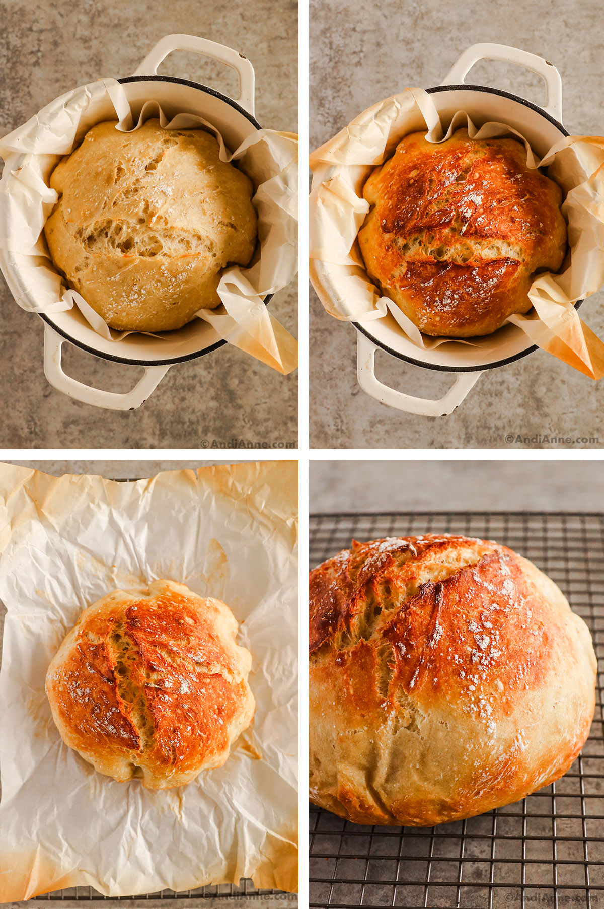 A white dutch oven with bread loaf first not fully cooked, second more cooked. Third image is loaf on parchment, fourth image is loaf on rack.
