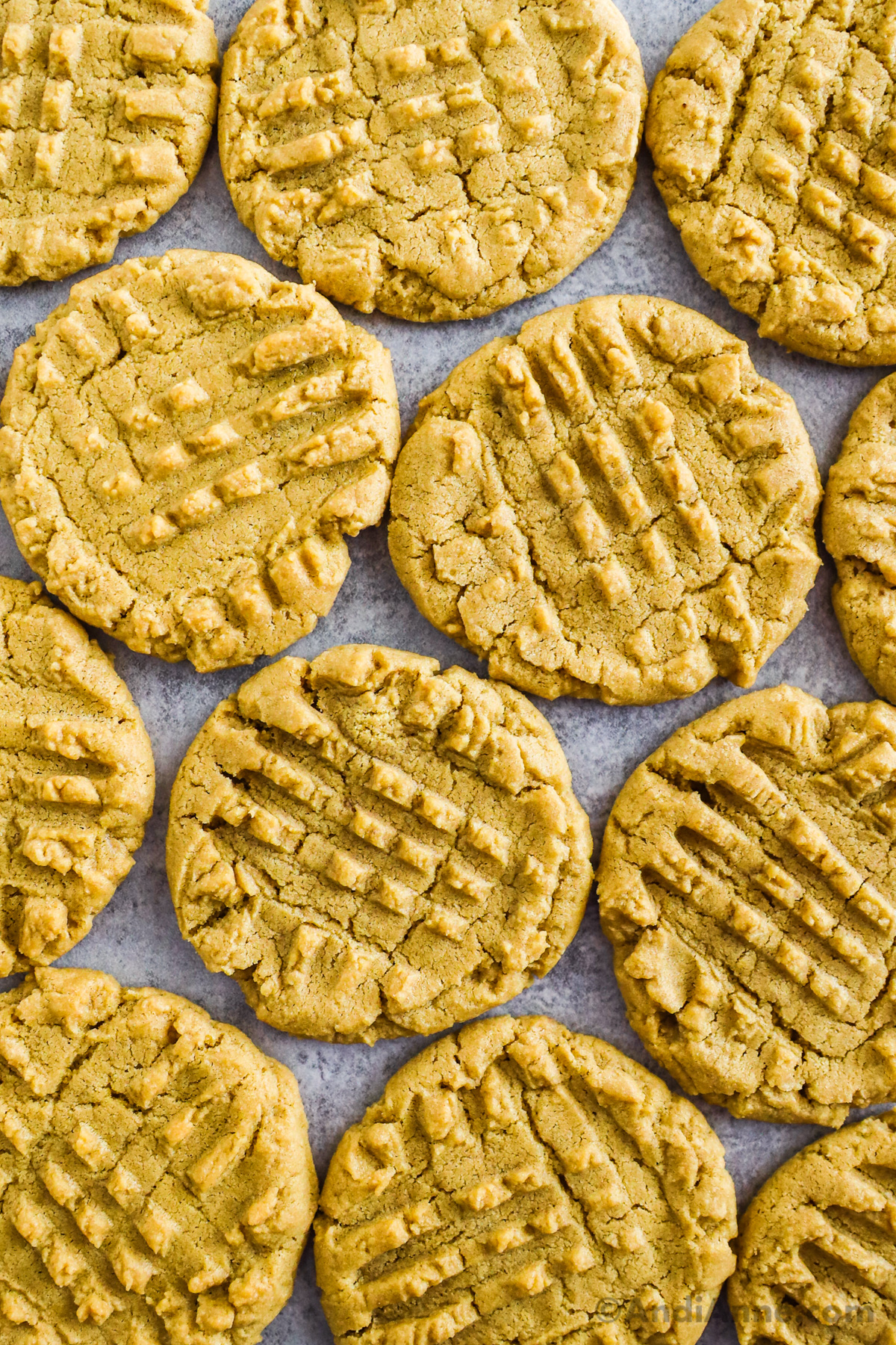 Close up of peanut butter cookies on the counter together.