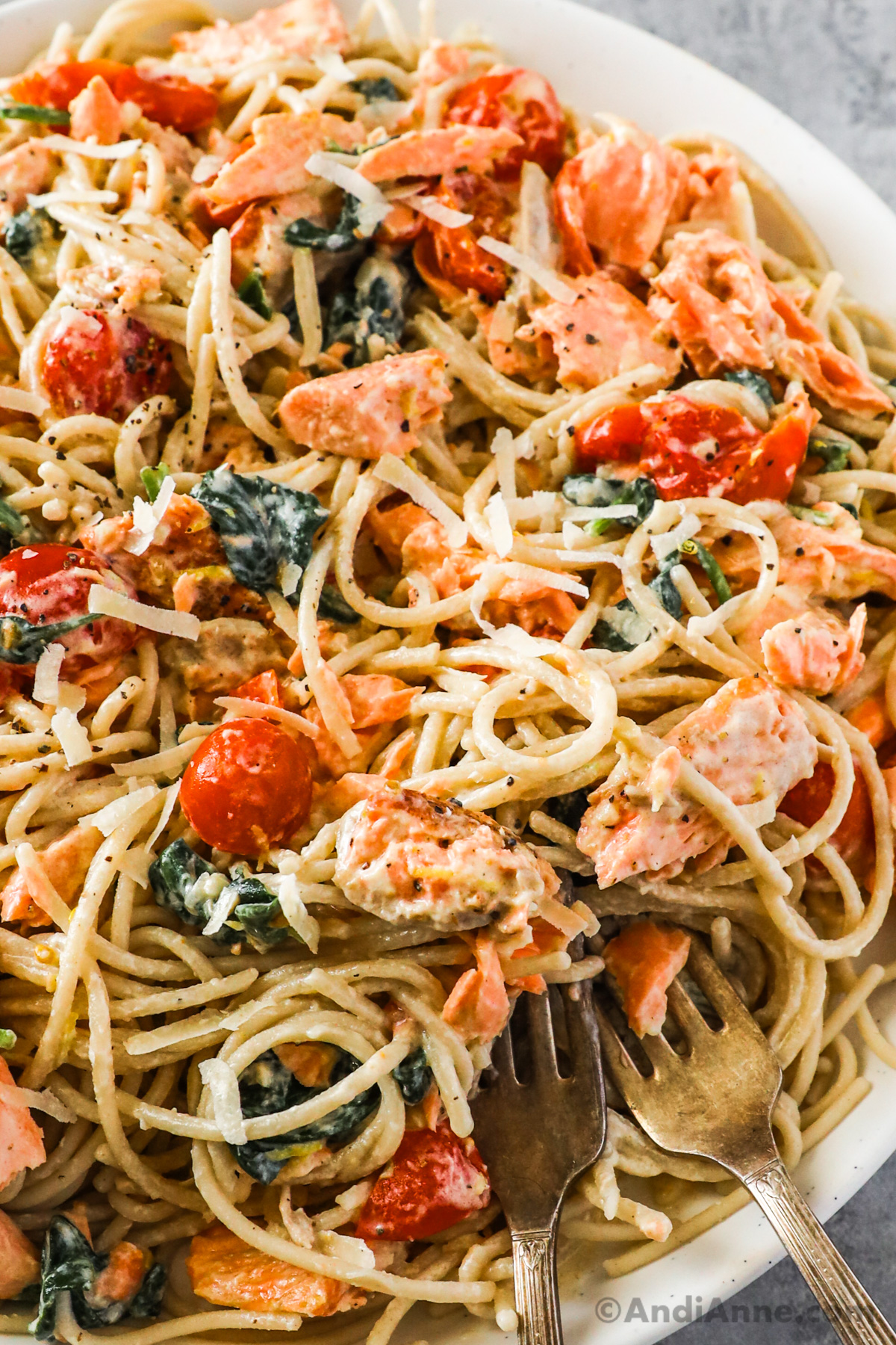 Close up of creamy salmon pasta with tomatoes and spinach