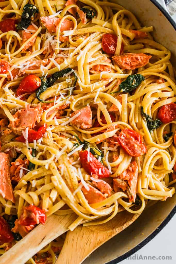Salmon Pasta Recipe