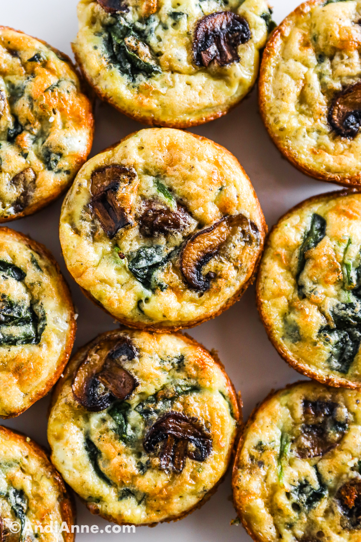 Close up of quiche muffins with sliced mushrooms and spinach.