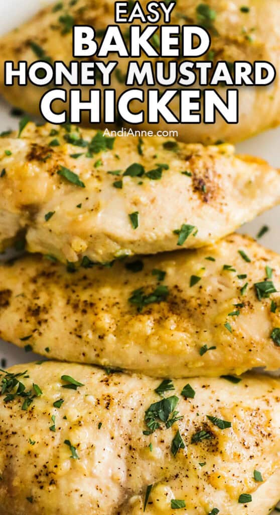 baked honey mustard chicken breasts