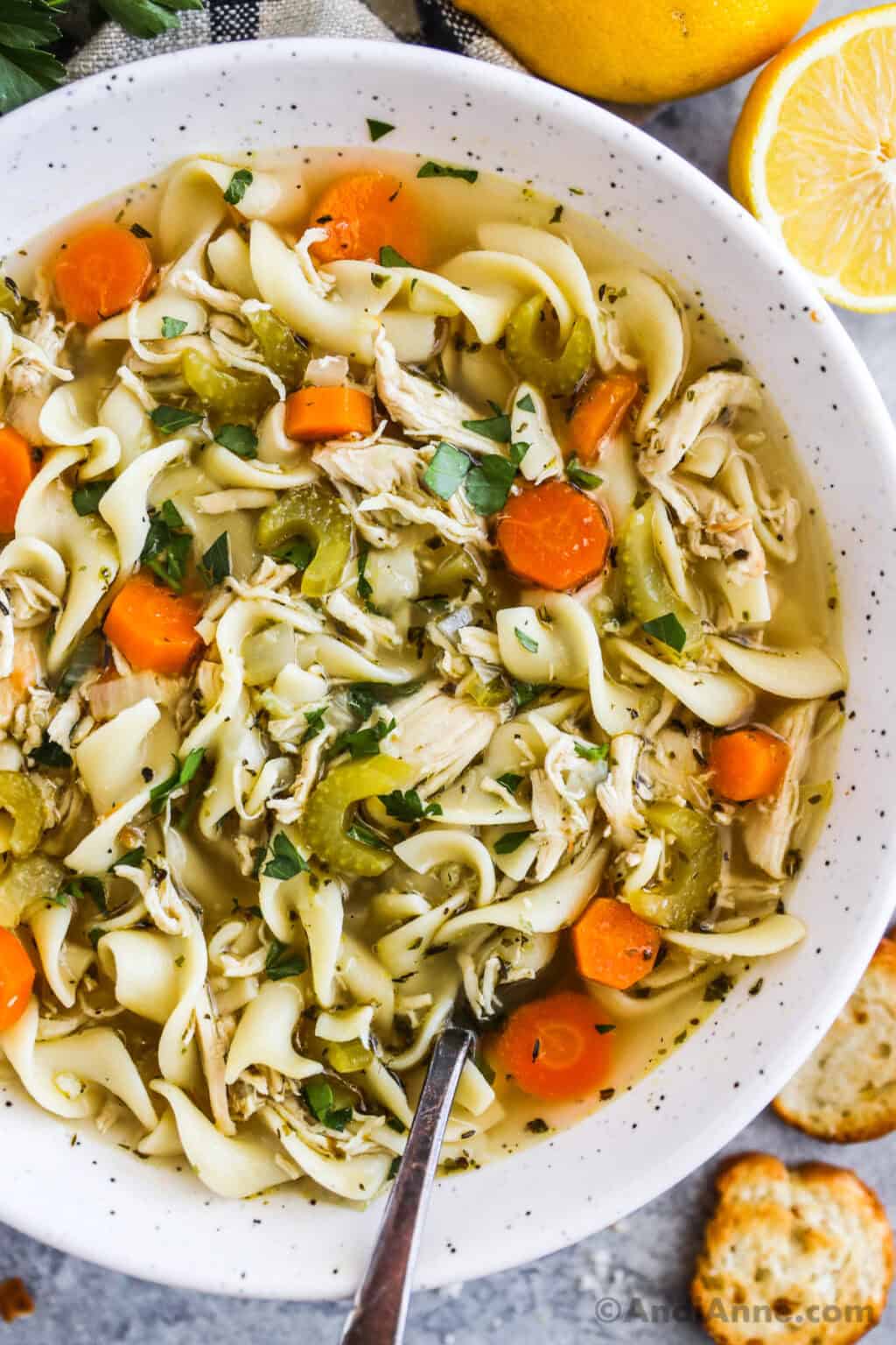 THE BEST CHICKEN NOODLE SOUP RECIPE visual data 7