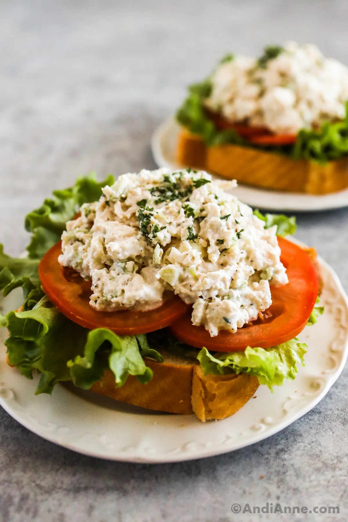 An open faced chicken salad sandwich with sliced tomatoes and lettuce on plates. 
