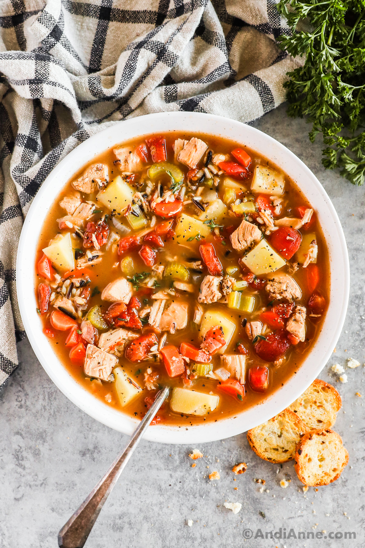 A bowl of turkey vegetable soup