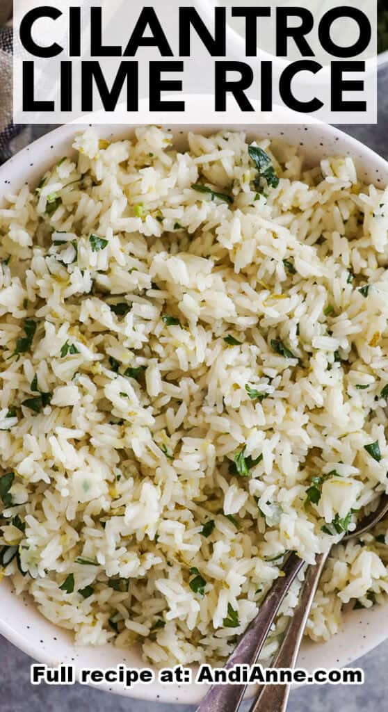 Close up of a bowl of cilantro lime rice.