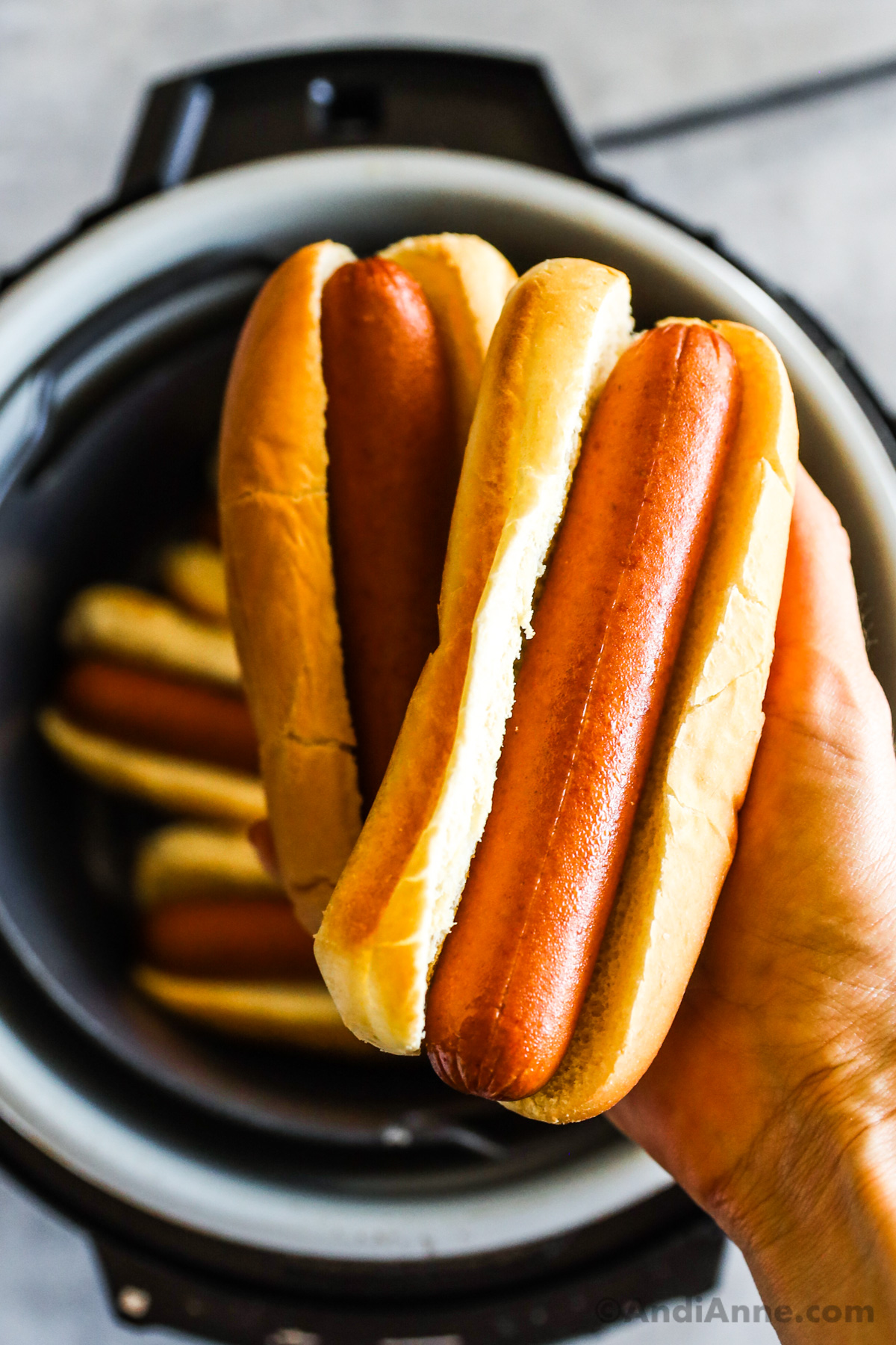 A hand holding two hot dogs with buns above an air fryer.