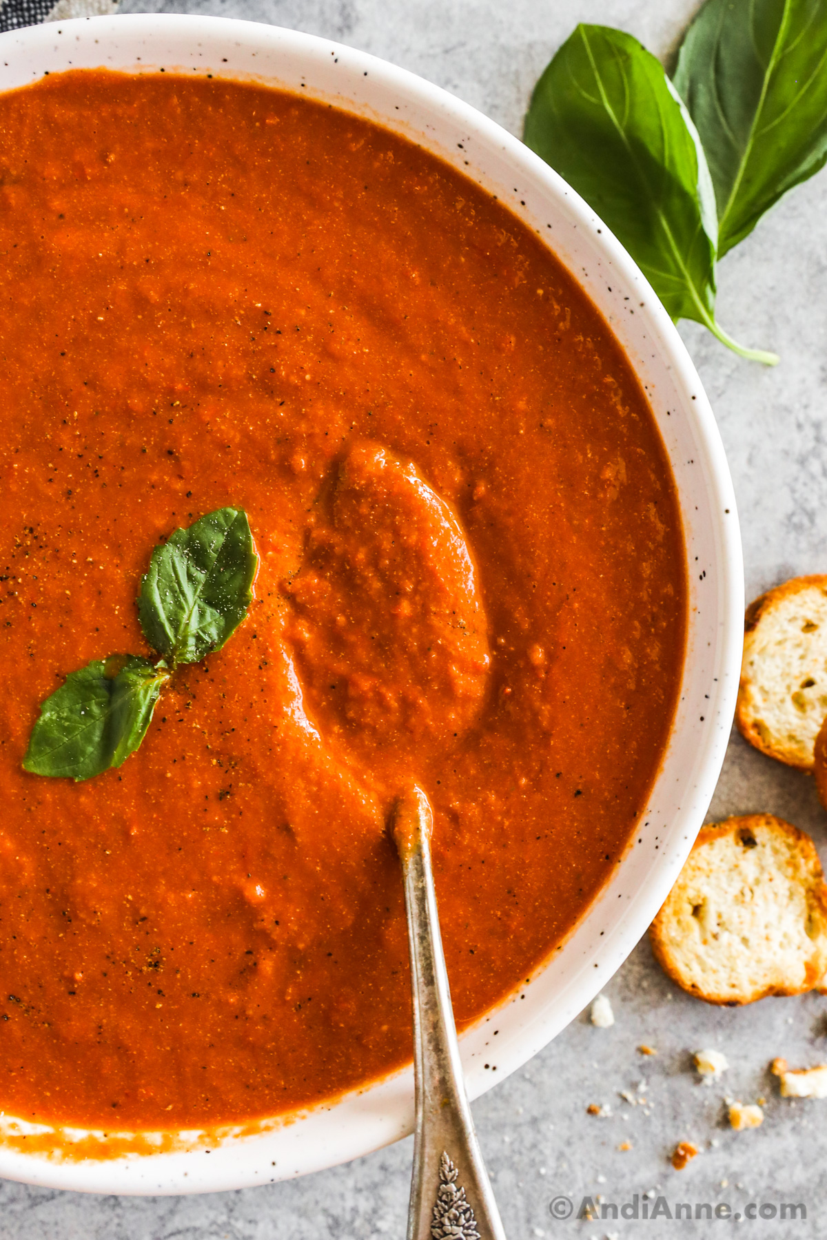 A white bowl of tomato soup garnished with fresh basil leaves.