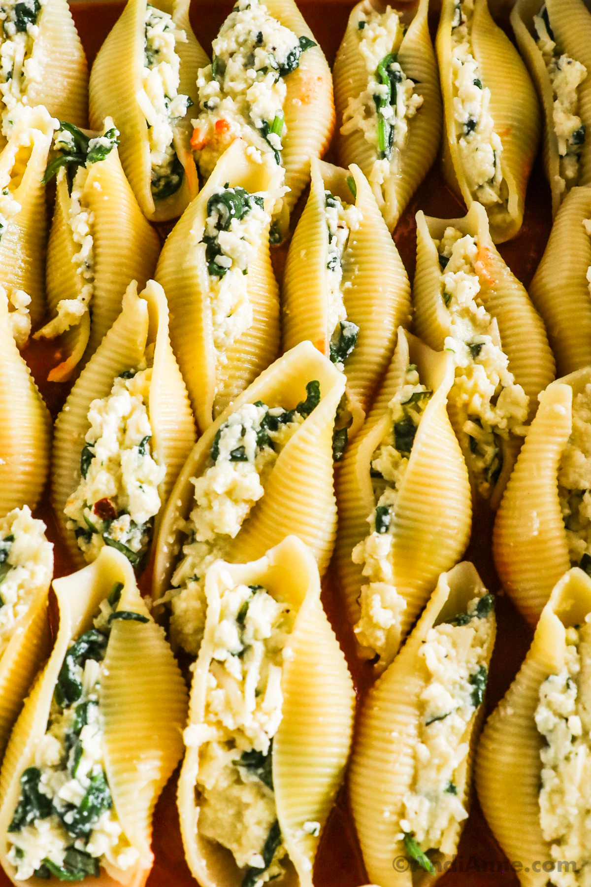 Close up of stuffed jumbo shells with ricotta spinach filling.