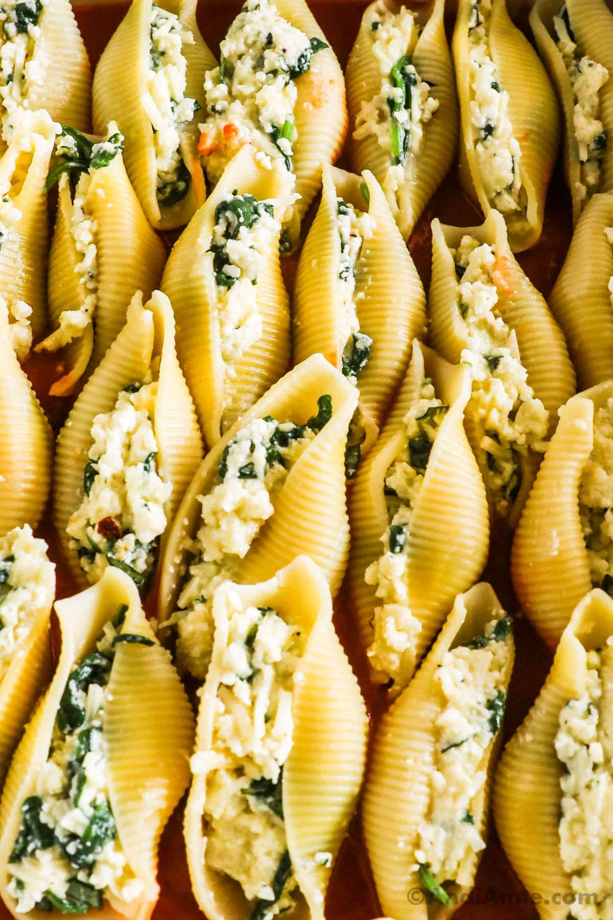 Spinach and Ricotta Stuffed Shells - Nourish and Fete