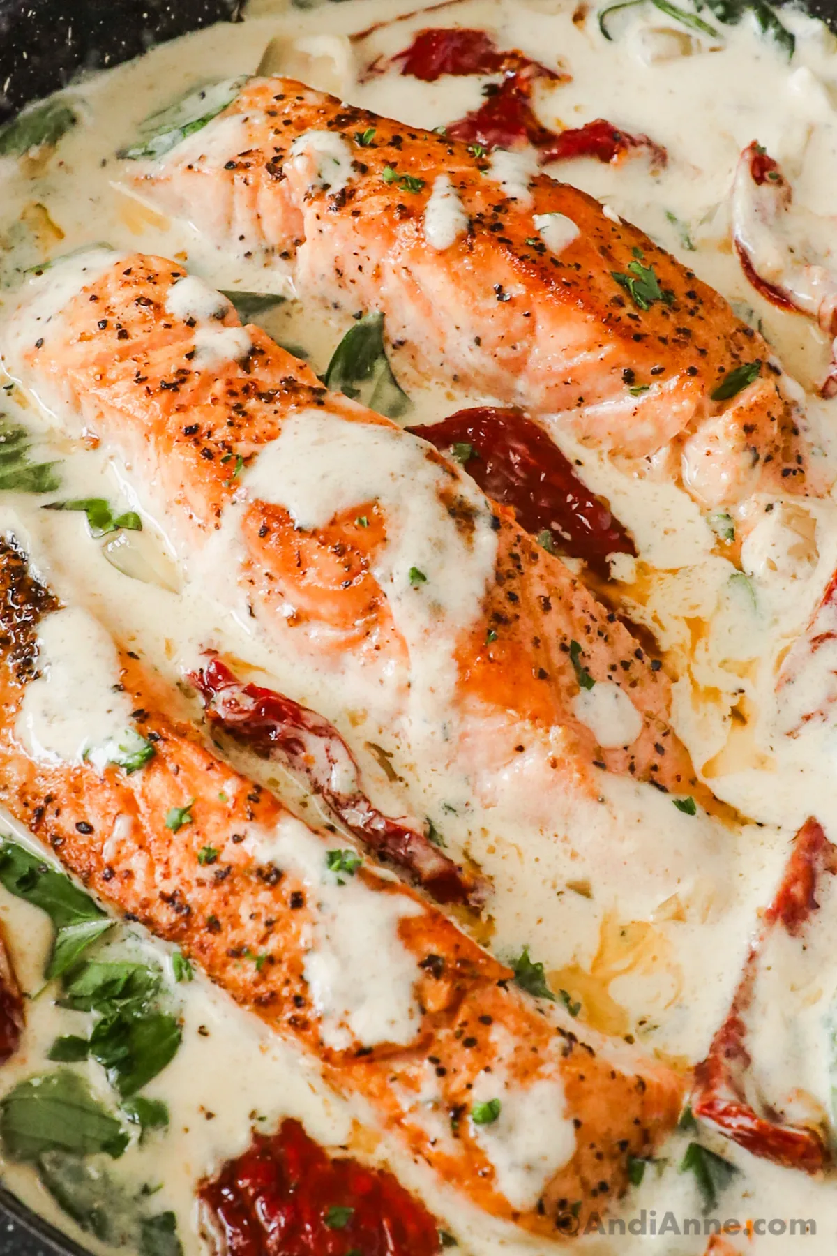 Close up of salmon fillets in a creamy sauce with sun dried tomatoes and pieces of basil.