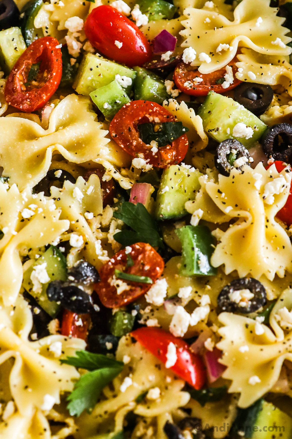 Close up of pasta, cucumber, tomatoes, olives and feta cheese in a greek pasta salad.