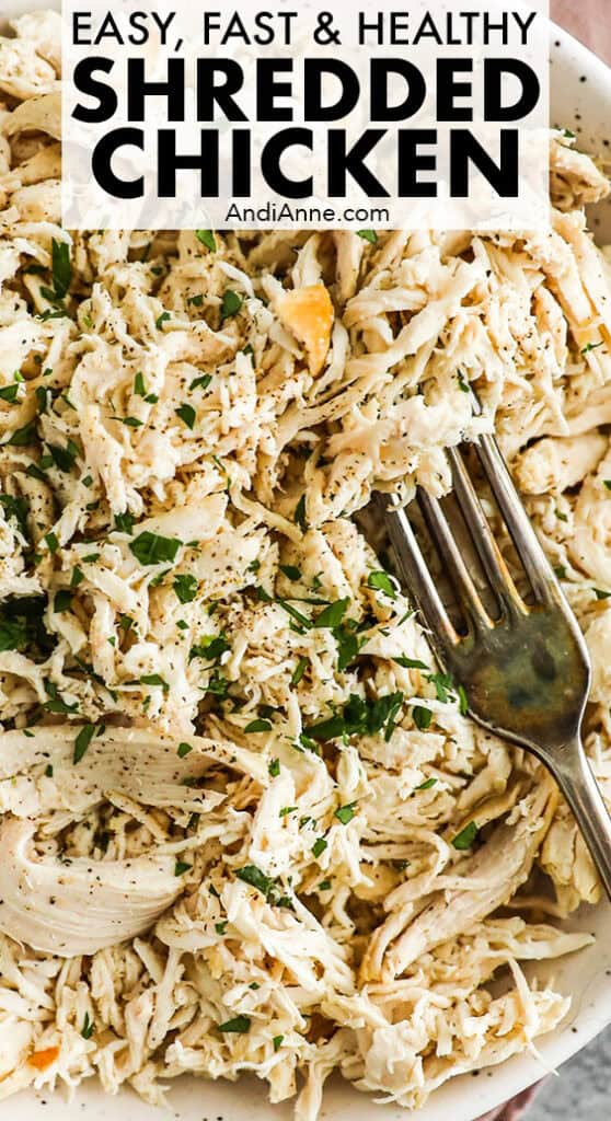 close up of easy fast shredded chicken recipe with a fork