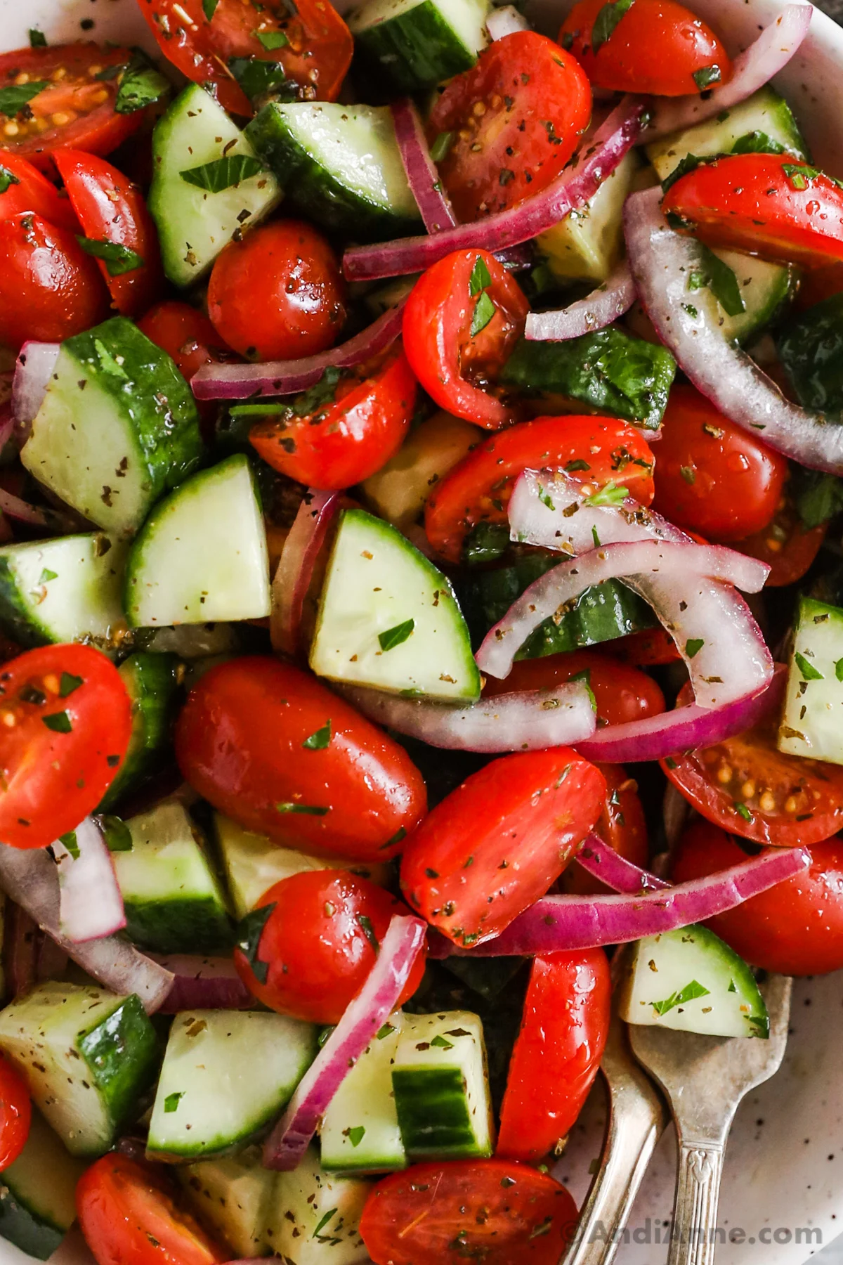 Close up of tomatoes, cucumber, sliced red onion in a greek dressing to make tomato cucumber salad recipe.