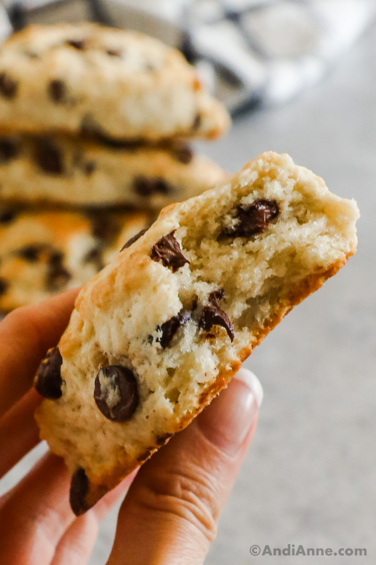 Close up of a hand holding a scone.