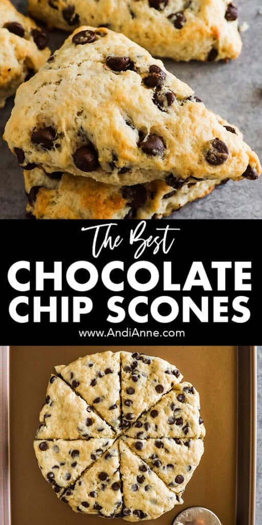 Chocolate chip scones. First baked, then image of the dough sliced into triangles.