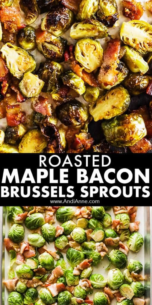 Roasted maple bacon brussels sprouts, baked and unbaked.