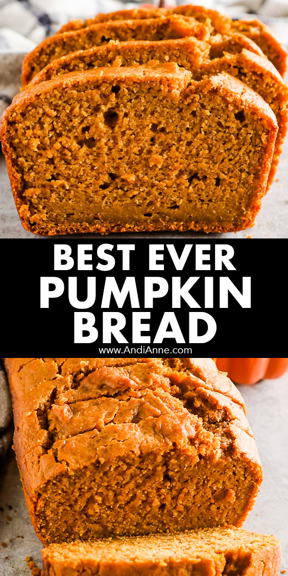 Pumpkin Bread - Andi Anne