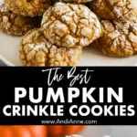 Pumpkin crinkle cookies piled on a plate with mini fake pumpkins in background and one cookie with a bite taken out of it.