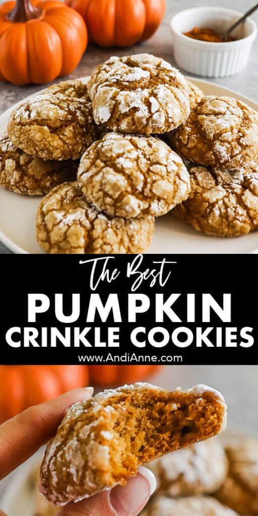 Pumpkin crinkle cookies piled on a plate with mini fake pumpkins in background and one cookie with a bite taken out of it.