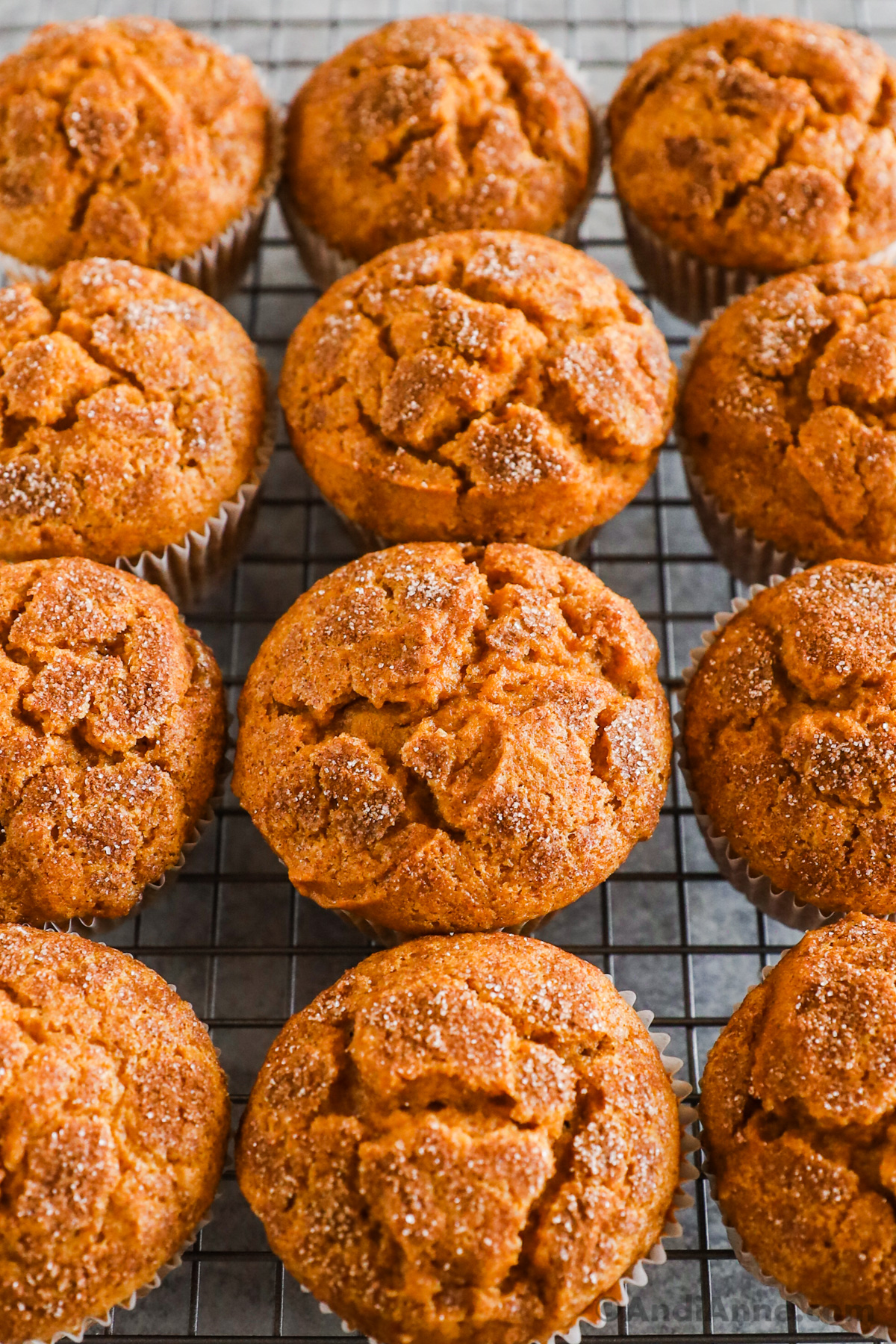 Close up of pumpkin muffins topped with cinnamon sugar.