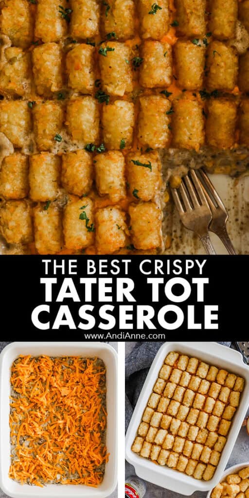Close up of tater tots in tater cot casserole, also see cheese and raw tater tots before baking.