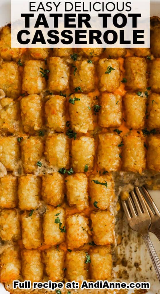 Close up of tater tot casserole with two forks.