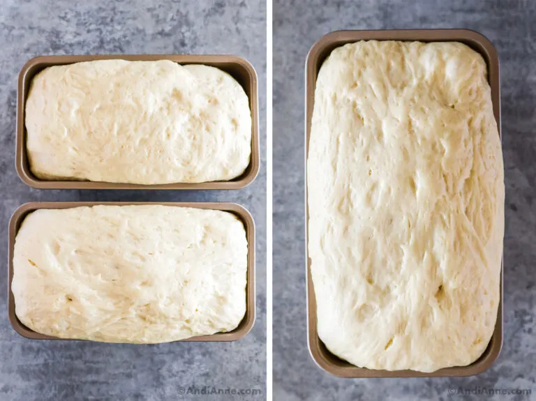Unbaked bread loafs